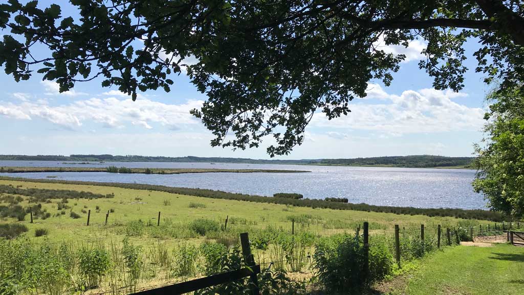 Bølling Sø