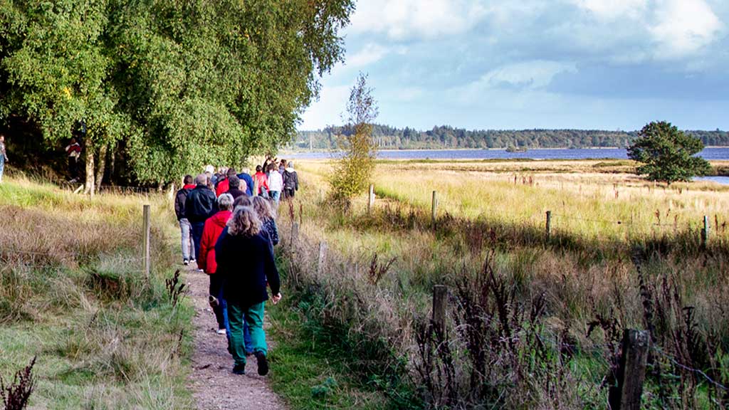 Bølling Sø