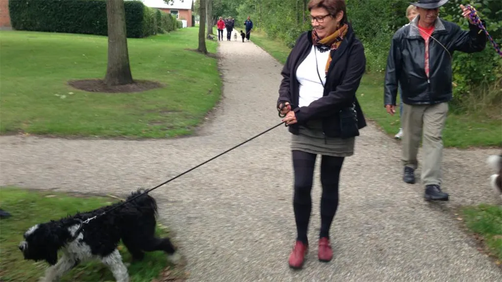 A dog being walked on a path near the dog forest in Odder