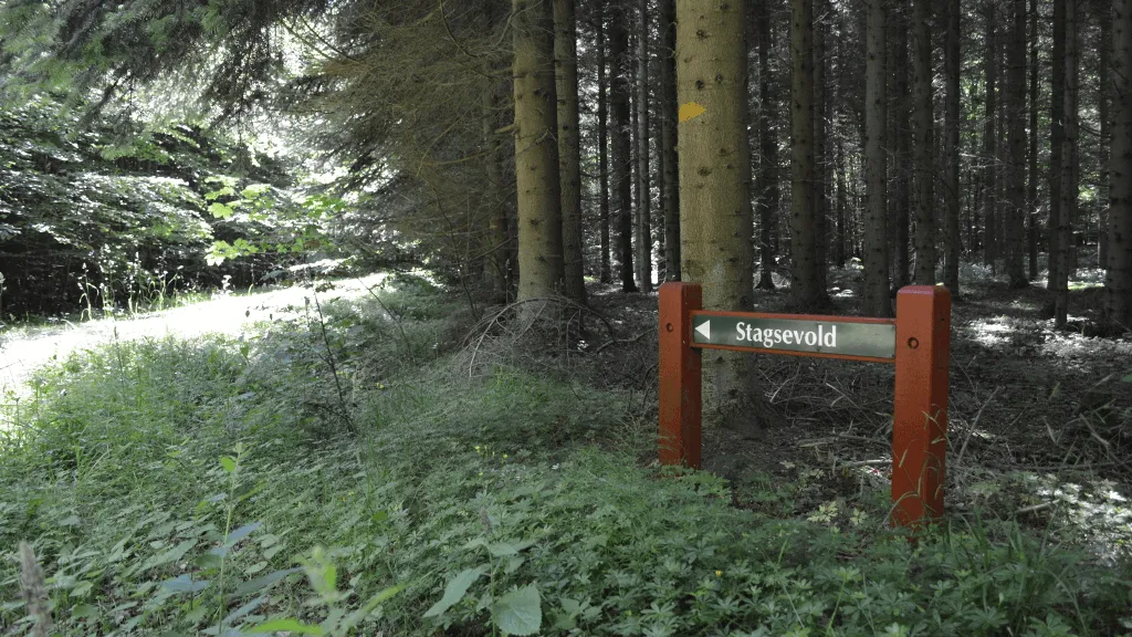 A sign shows the way to the Stagsevold Castle Ruin