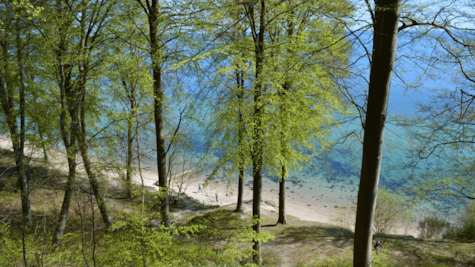 Stenhøj Strand set fra Staksrode Skov