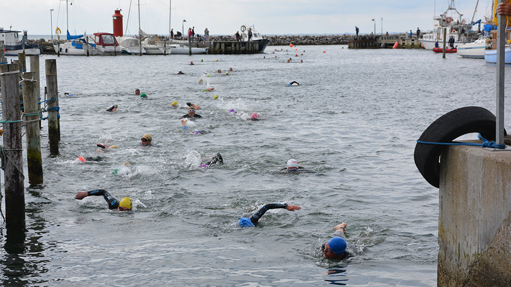 Svømning i Hou Havn til triathlon