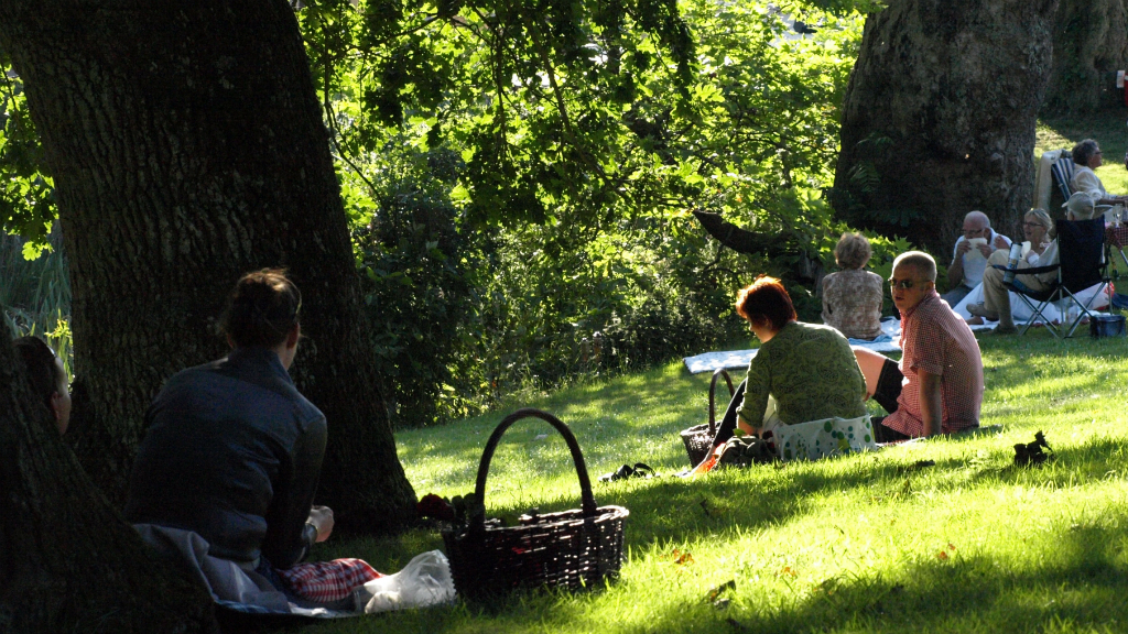 Palsgaard Sommerspil