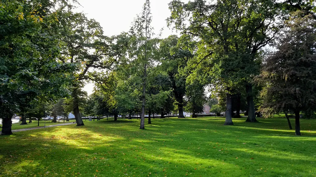 Stor græsplæne med gamle træer i Bygholm Park i Horsens