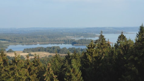 Udsigt over Mossø fra toppen af Sukkertoppen