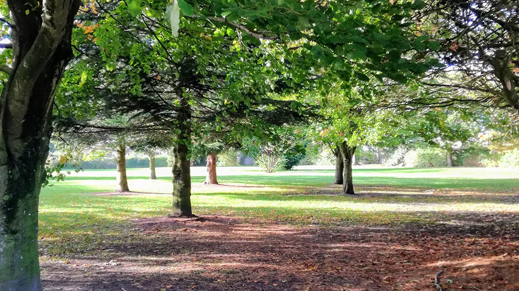 Trees in the Fængselsparken near the prison in Horsens
