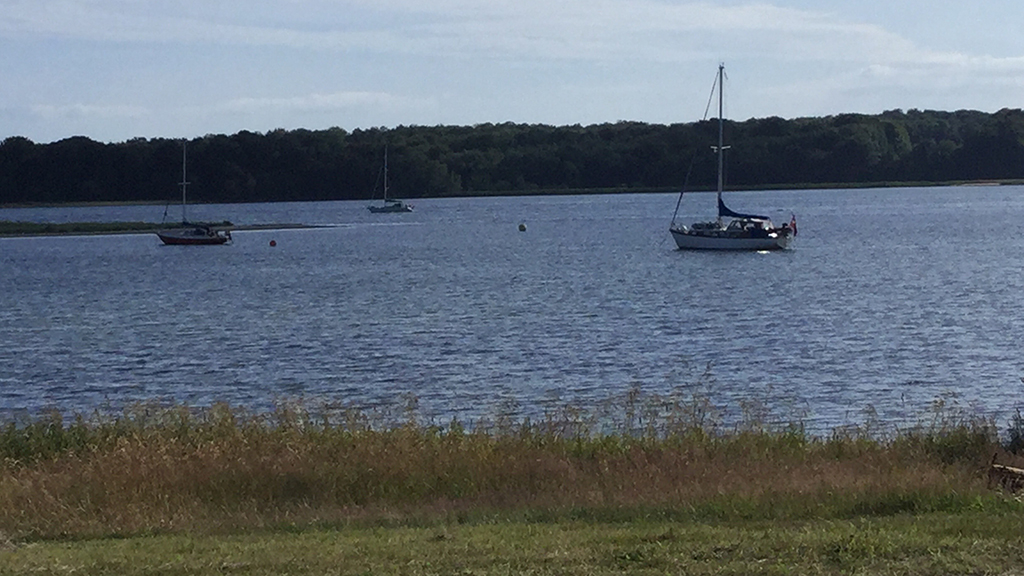 View from Hjarnø's coast to sailboats in Hjarnø Sund