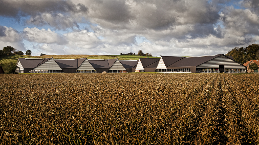 The fields near Vejlskovgaard Dairy