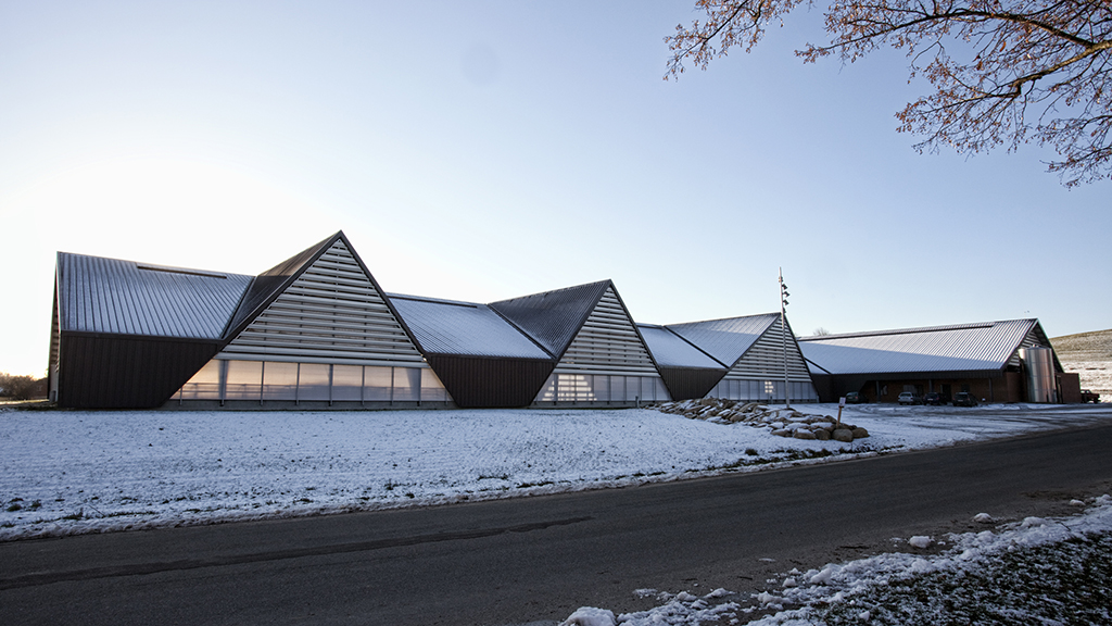 Snow outside Vejlskovgaard Dairy