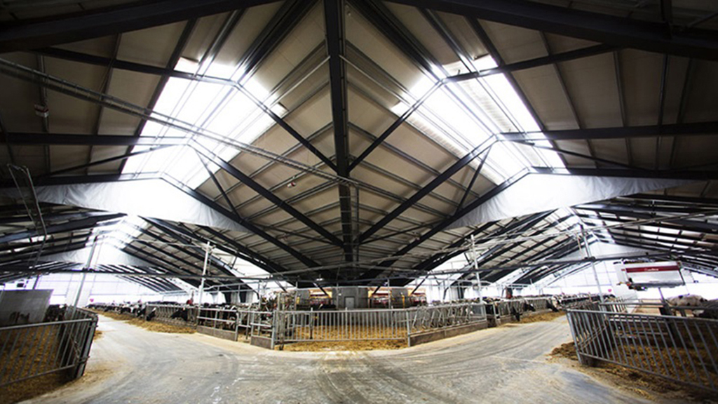 The barn viewed from inside at Vejlskovgaard Dairy