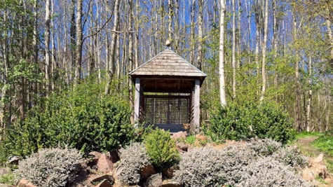 Pavilion står placeret i udkanten af Grund Skov i Hotel Vejlefjords park