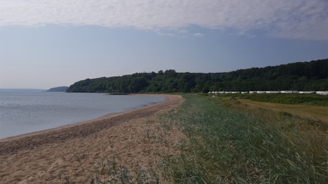 Rosenvold strand ved campingplads