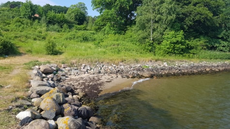 Sten på Fakkegrav Strand