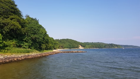 Udsigten over Frakkegrav Strand og skov