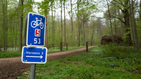 Знак на національний велосипедний маршрут 5 53 у Боллер-Недерскові в Горсенсі