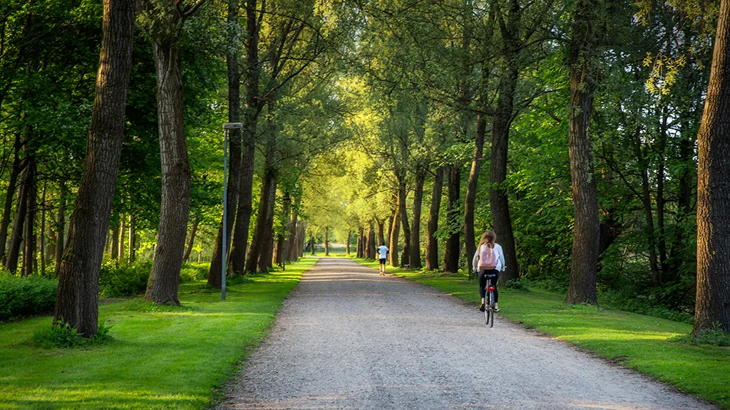 Cyklist og løber på Peblingestien i Bygholm Park i Horsens i Bygholm Park