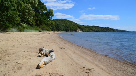 Bred strandkant ved Fakkegrav Strand