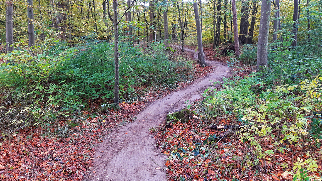 A winding mountain bike trail through Tofteskoven Forest in Juelsminde