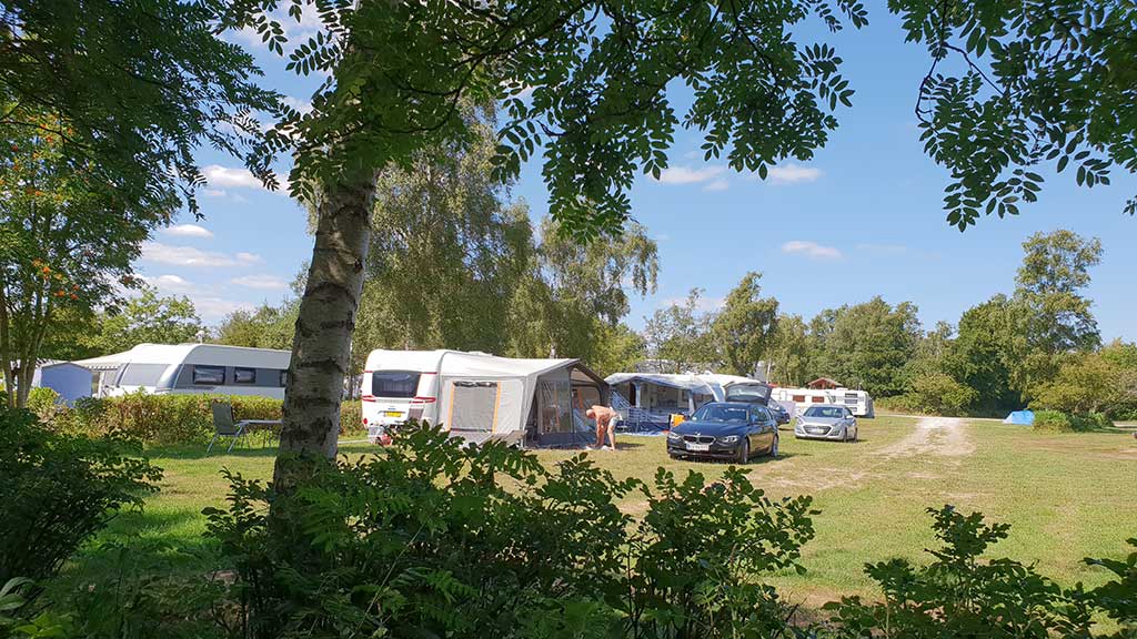 First Camp Ajstrup Strand