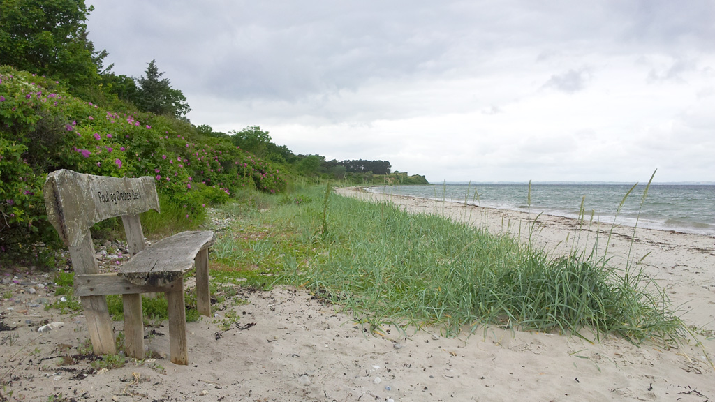 A bench stands in the sand on Tunø Nordstrand