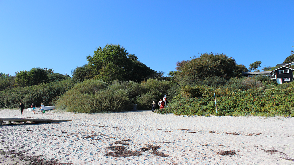 White sand at Rude Beach with dunes