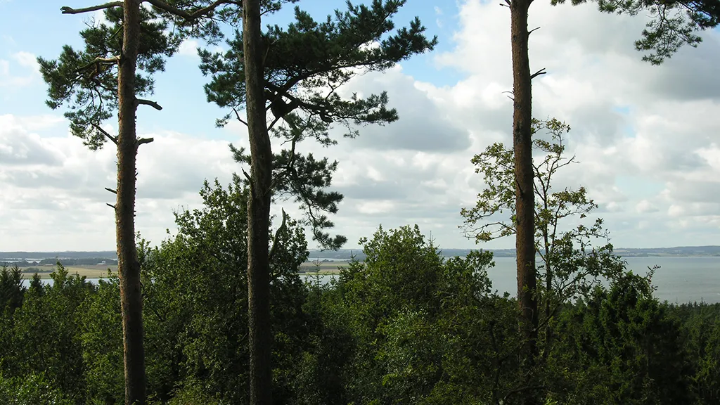 View over Horsens Fjord from Blakshøj in Sondrup Bakker