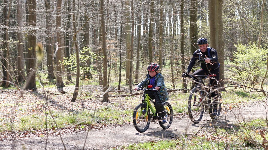 Father and son are cycling on the mountain bike trail in Tofteskov Forest in Juelsminde
