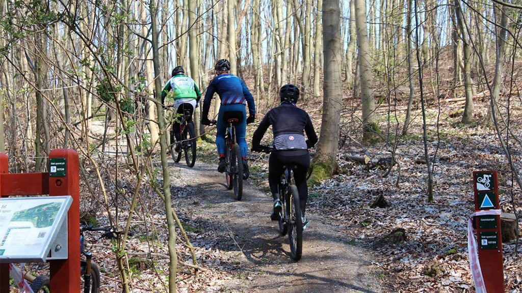 Mountain bikers are riding their bikes on the trail in Tofteskoven in Juelsminde