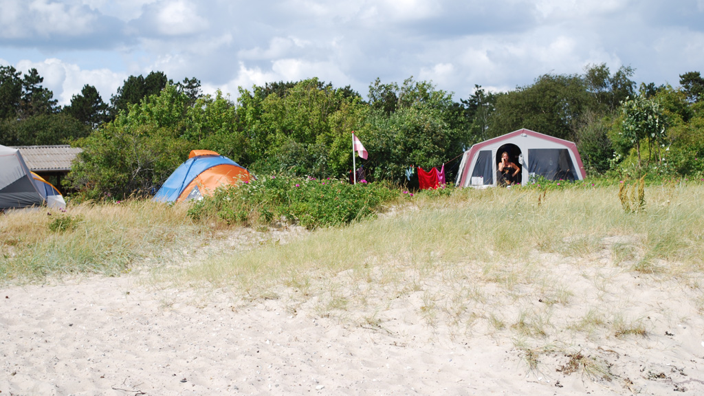 Tents on the beach at the Tunø Campsite