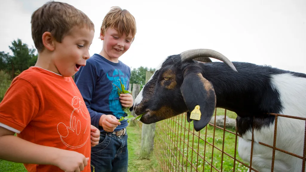 Children and goats at Økologiens Have.