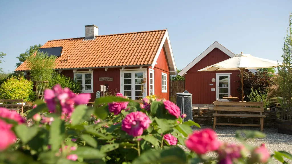 The café at Økologiens Have.