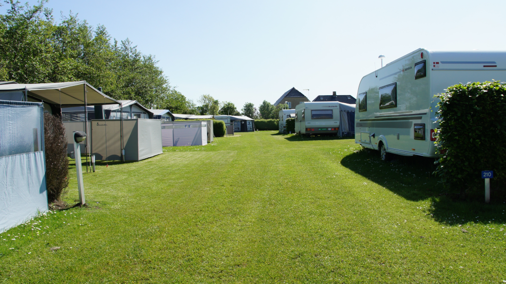 Caravans on the lawn at Hou Strandcamping