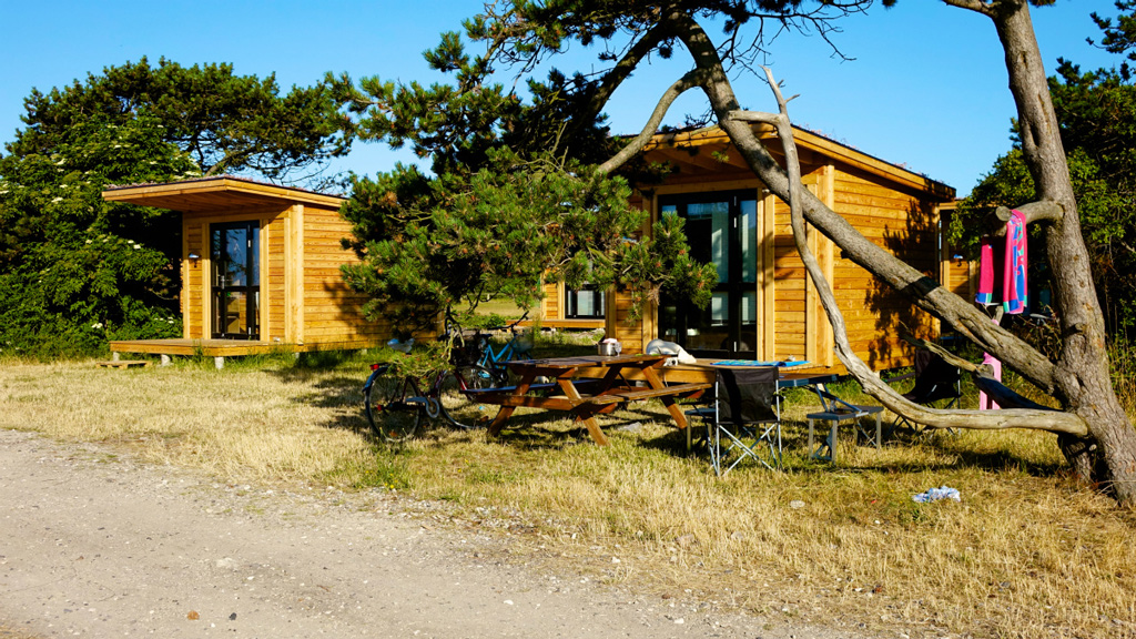 Tree in front of a cabin at the Tunø Campsite