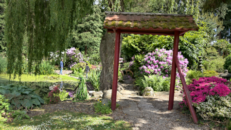 Сад в азіатському стилі в парку замку Боллер поблизу Хорсенса