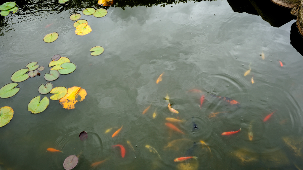 Bed and Breakfast Horsens Udsigten