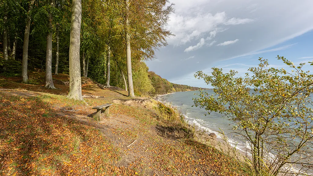 Bench in Staksrode Forest with a view of the sea