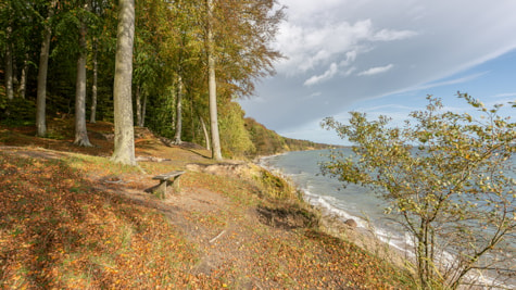 Bænk ved Staksrode Sov som har udsigt til havet