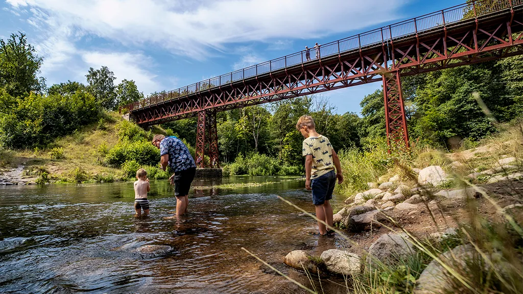 Familie sopper i Gudenåen under Den Genfundne Bro