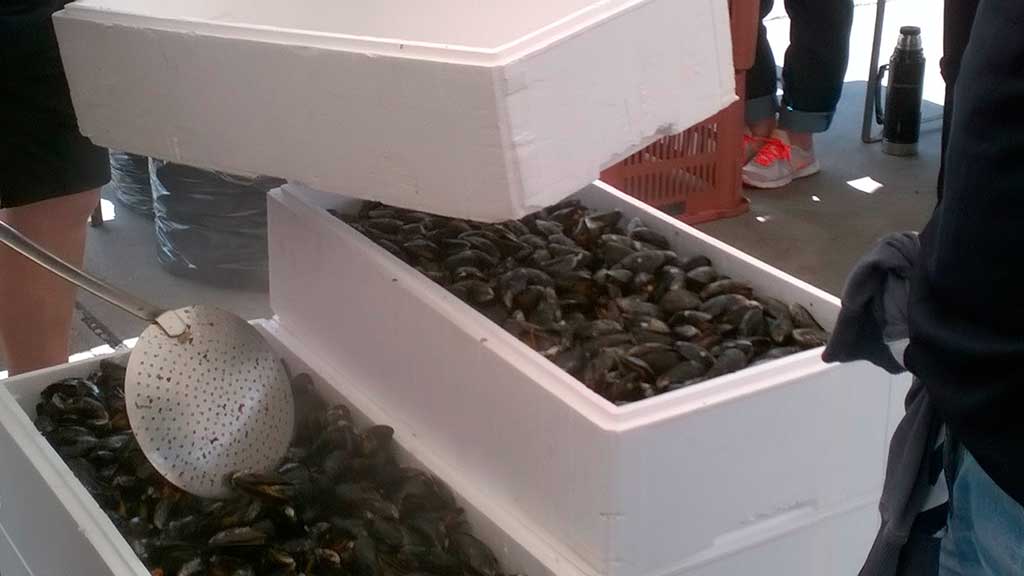 The free mussels are being prepared for serving