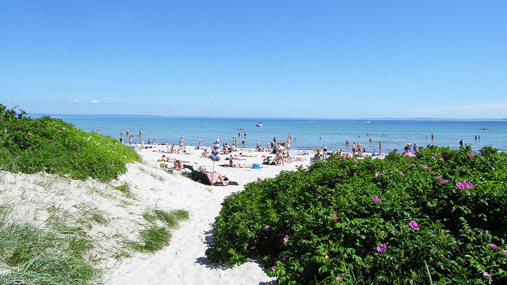 Saksild Beach on a summer day with a blue sky and white sand