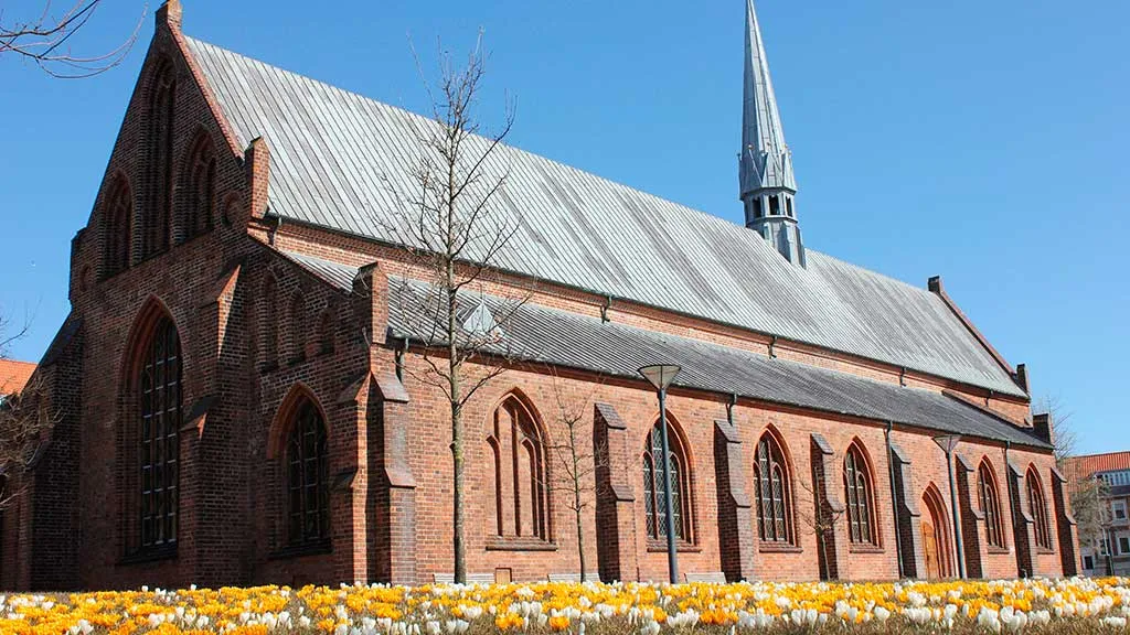 Horsens Klosterkirke set fra sydvest på kirkegården med krokus i græsset