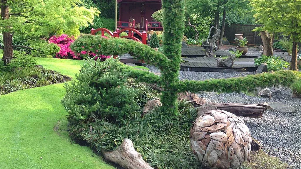 Buske og planter i en japansk inspireret have