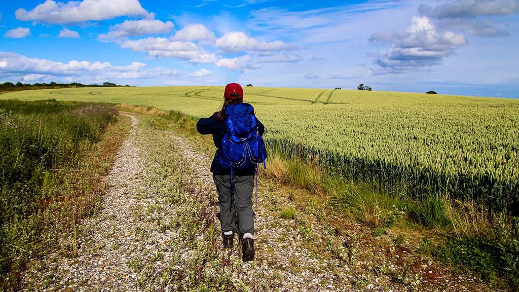 A woman is walking on a footpath through fields near Hundslund