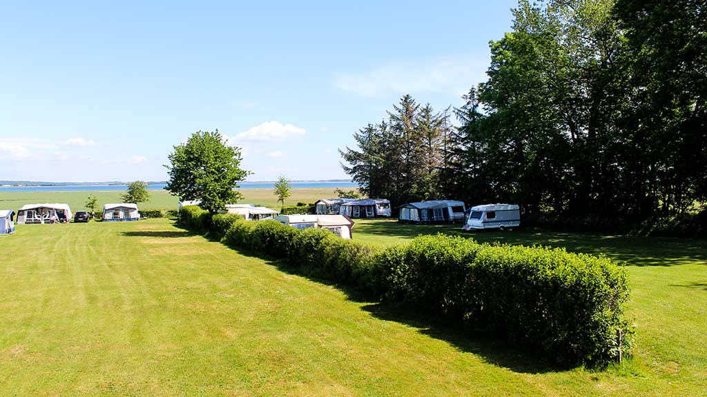 Caravans on a grassy area with a sea view at Hjarnø Camping