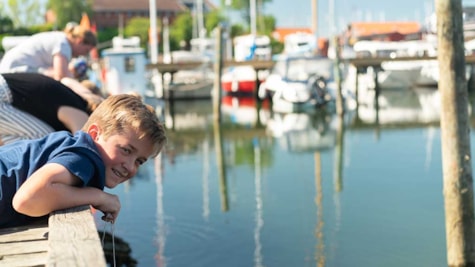 Dreng ligger på krabbebroen på Juelsminde Havn og kigger ned i vandet