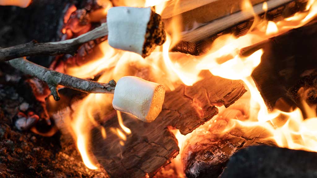 Marshmallows are being roasted on a stick over the fire