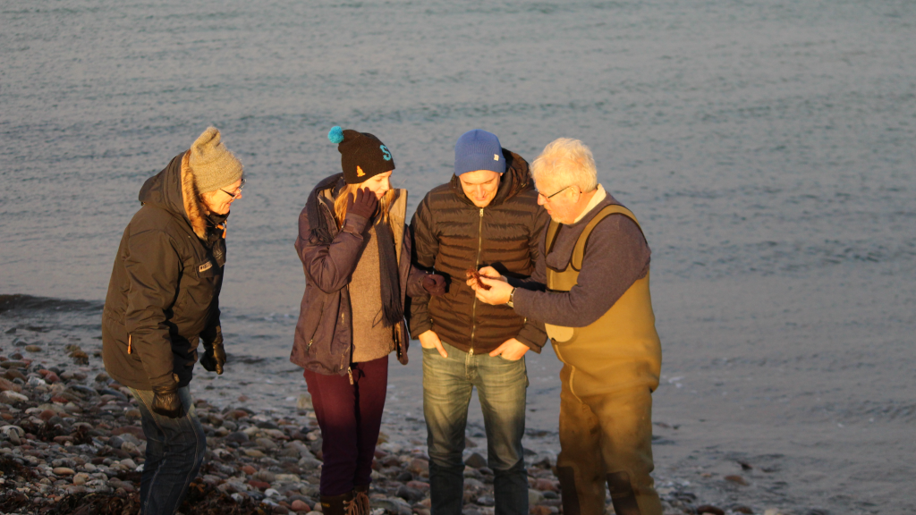 Group looking at seaweed for a seaweed safari on Endelave
