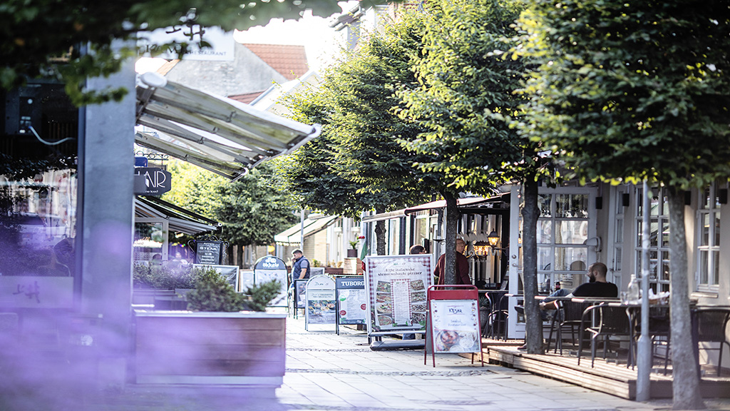 Street with trees and restaurants near Restaurant Mamma's.