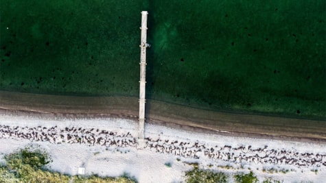 Dronebillede af Kirkholm strand