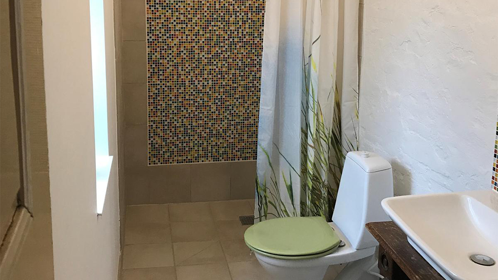 Toilet and shower niche in a holiday apartment
